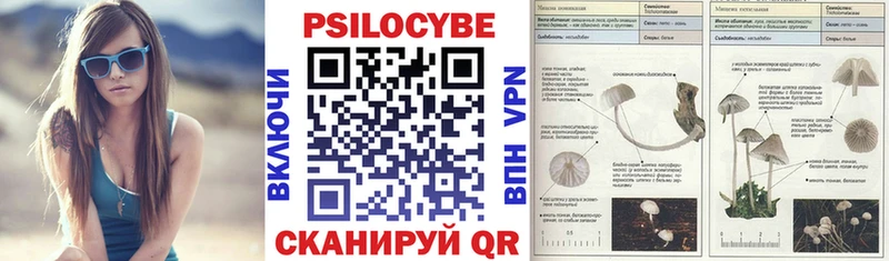 Галлюциногенные грибы GOLDEN TEACHER  наркошоп  Мирный 