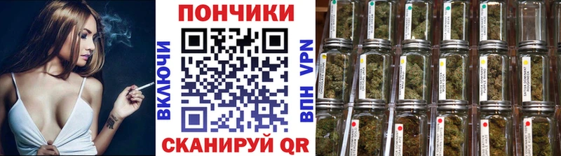 блэк спрут как зайти  Мирный  Каннабис сатива 